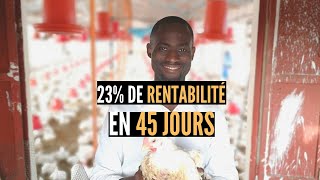 23% de rentabilité en 45 Jours - ELEVAGE DE POULETS : Le meilleur business à faire en Afrique?
