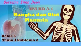 KELAS 5 TEMA 1 SUBTEMA 2 | IPA KD 3.1 | RANGKA DAN OTOT MANUSIA