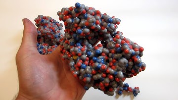 Tangible molecular models of an antibody and peptide.