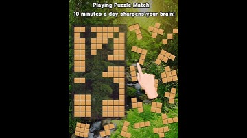 Wood Block - Classic Block Puzzle Game 2703 cc 20220505