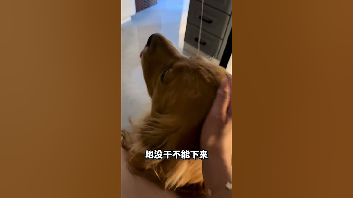 每天跟孩子一样，批评了就生气，哄哄就开心#瞧这小眼神