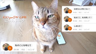 愛猫に「彼女欲しい」って相談したら２日間にわたり束縛された…｜にゃんトーク