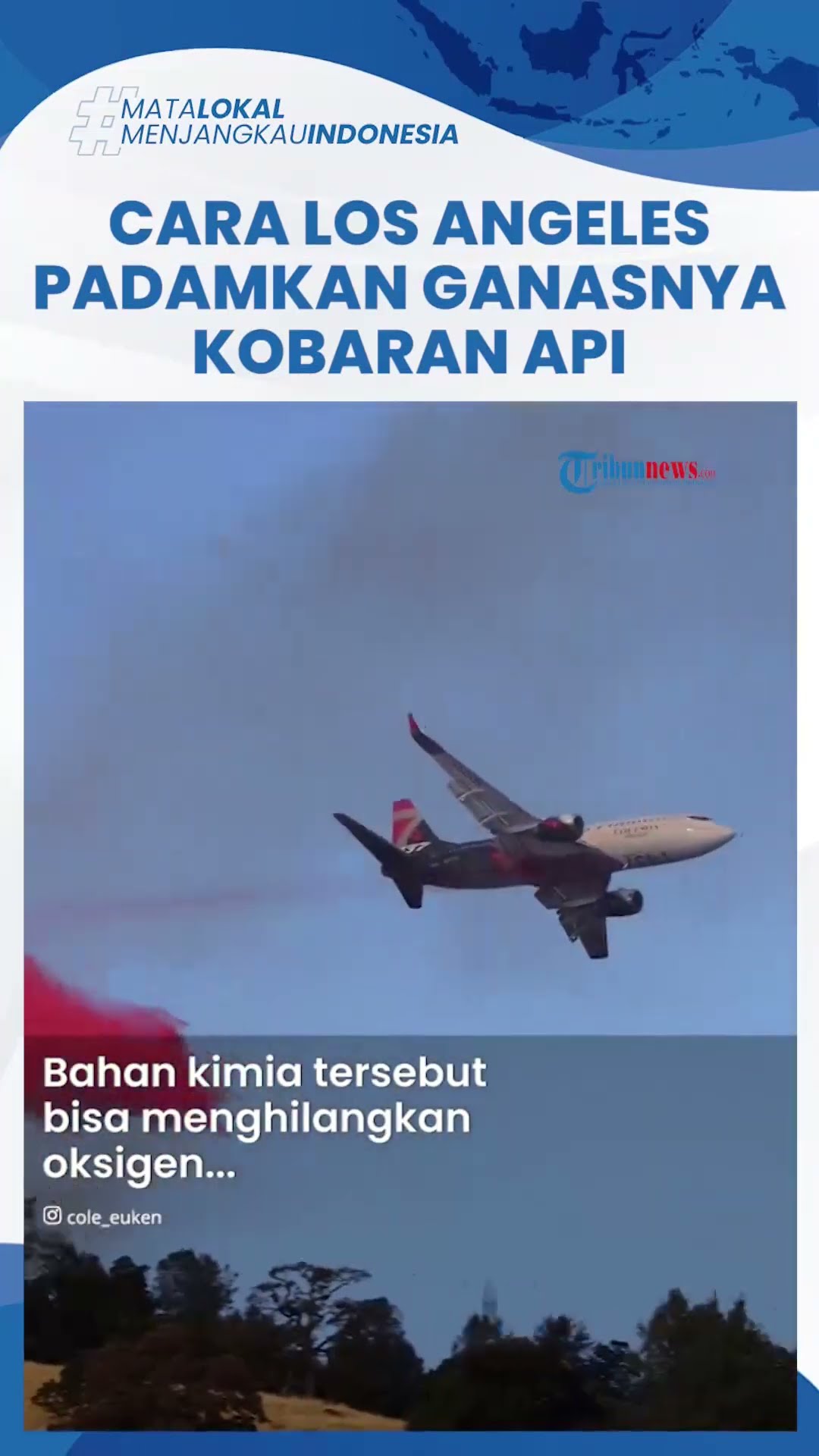 Cairan Kimia Merah Muda Jinakan Ganasnya Kobaran Api Los Angeles, Disiramkan Lewat Jalur Udara