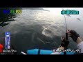 初ミニボート釣り！まさかの魚が釣れました！三重県尾鷲カヤックフィッシング！