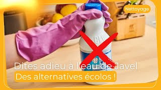 Dites Adieu À Leau De Javel Des Alternatives Écolos Au Top
