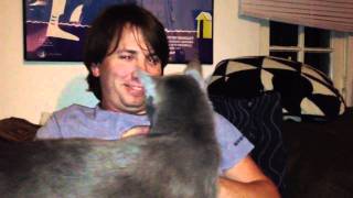 Fake Meowing Upsets Gaius screenshot 4