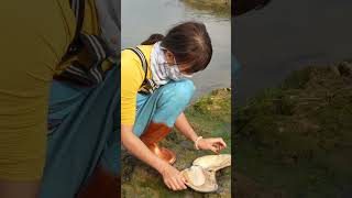 Masked Girl Discovers Giant River Clams #Pearl