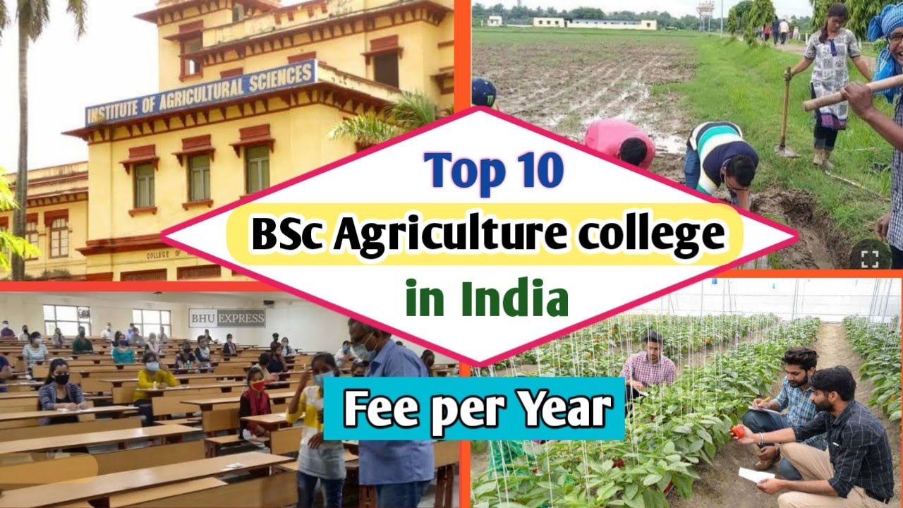 phd in agriculture colleges in india