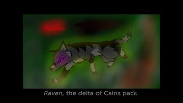 wolf animation casting call (open)