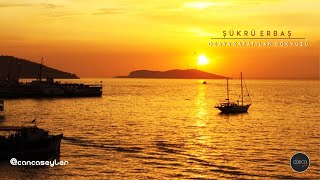 Şükrü Erbaş - Odaya Kapatılan Gökyüzü