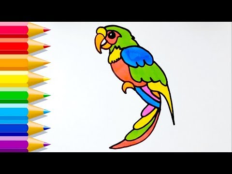 How to Draw Parrot 🧡 कैसे आकर्षित करने के लिए तोता