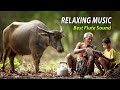 Sleep music 6 hours relaxing music healing music sleep meditation khmer flute sound