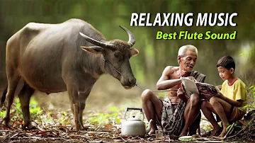 Sleep Music 6 hours, Relaxing Music, Healing Music, Sleep Meditation, Khmer Flute Sound