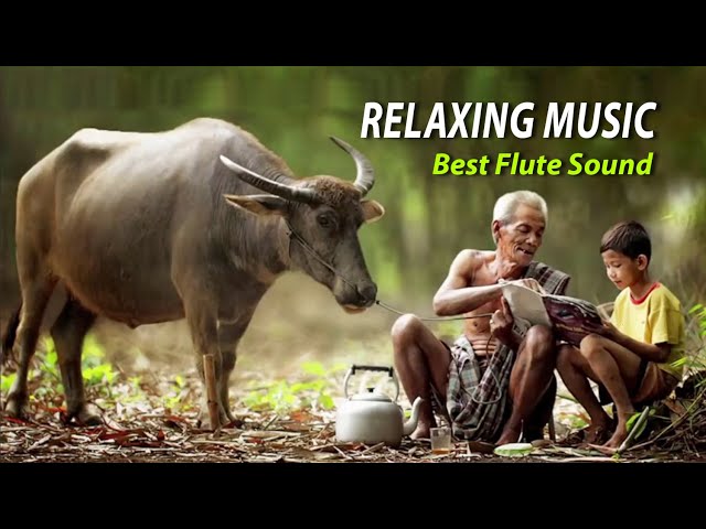 Sleep Music 6 hours, Relaxing Music, Healing Music, Sleep Meditation, Khmer Flute Sound class=