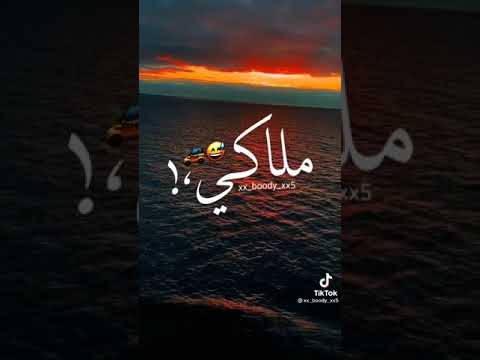 صحبه ملاكي والشيطان سواق 31 حلات واتس