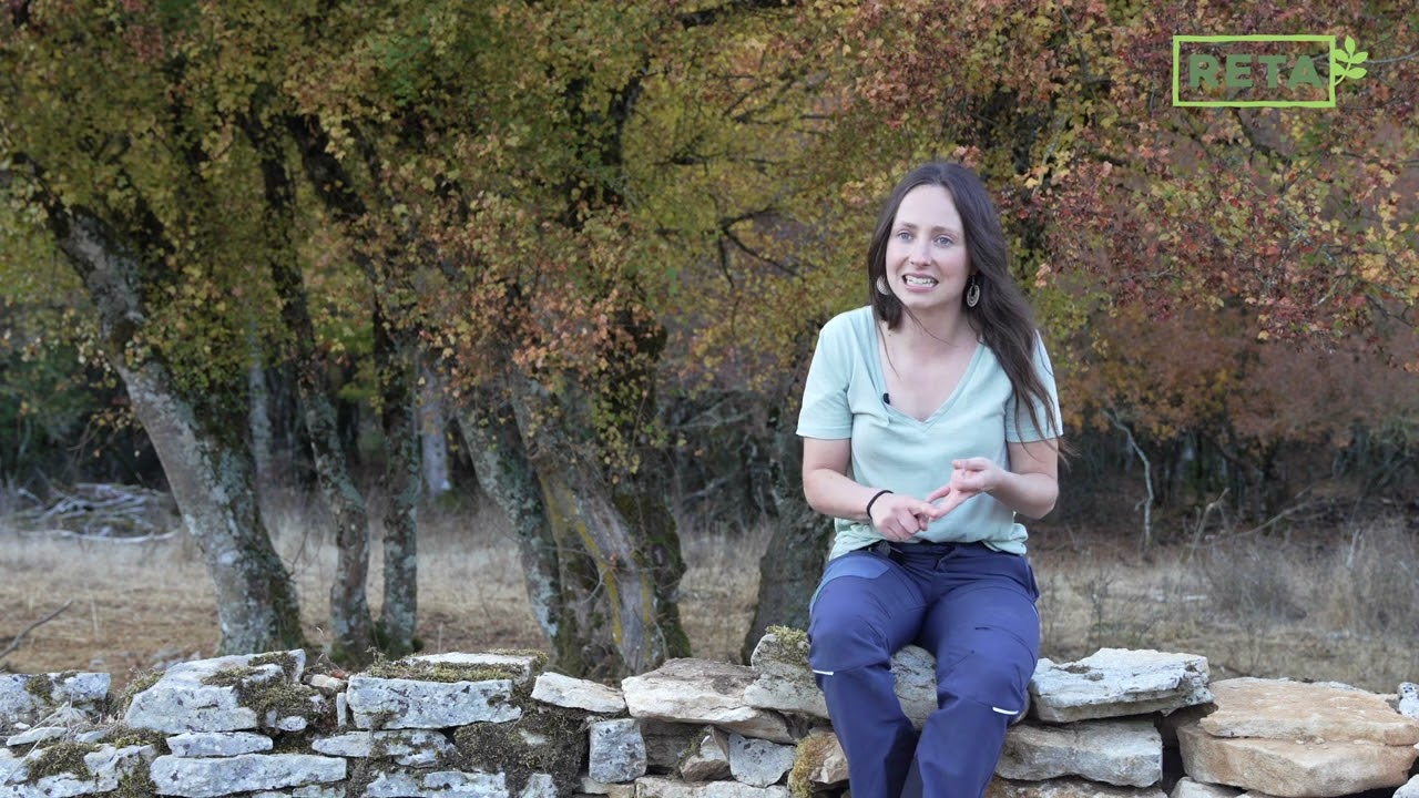 III Jornadas RETA. Marta Urtasun - Dinamizadora en Zunbeltz