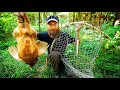 PRIMITIVE SKILLS: Build Simple Chicken Trap in Forest!!! | Primitive Cooking in Dirt Hole