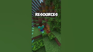 The BEST Minecraft Server EVER 👀🔥 #minecraft    #smp    #oneblock    #onechunkchallenge