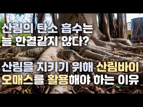 산림바이오매스의 오해와 진실 2   산림 생태계 영향성