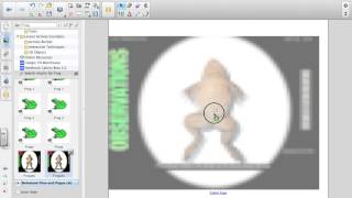 Smart Notebook: Inserting Multimedia