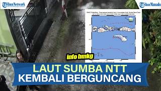 GEMPA M4,6 GUNCANG SUMBA BARAT DAYA! GETARAN TERASA DI WILAYAH SUMBA