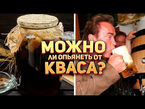 🍻Можно ли опьянеть от кваса?