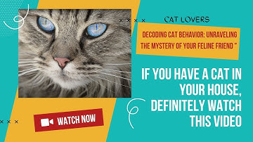 Decoding Cat Behavior: Unraveling the Mystery of Your Feline Friend🐱"Pet