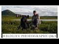 Q&amp;A | Moose Scouting | WILDLIFE PHOTOGRAPHY