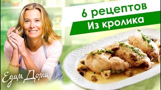 видео: Блюда из кролика от Юлии Высоцкой: фрикасе из кролика, томленный кролик, рагу из кролика — Едим Дома картинка: Блюда из кролика от Юлии Высоцкой: фрикасе из кролика, томленный кролик, рагу из кролика — Едим Дома