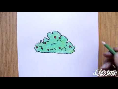 كيفيه رسم اعشاب خضراء تعليم الرسم للمبتدئين Youtube