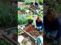 Help for the gardener.  #gardeningforbeginners #shorts