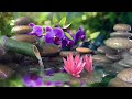 🔴 Relaxing Music 24/7, Sleep Music, Stress Relief Music, Spa, Meditation, Yoga, Zen, Calming Music