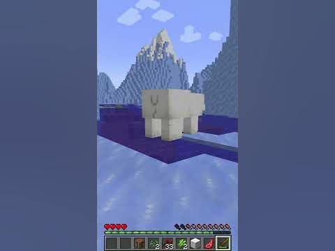 Minecraft aber das Tier was ich töte kann ich mich verwandeln #shorts ...