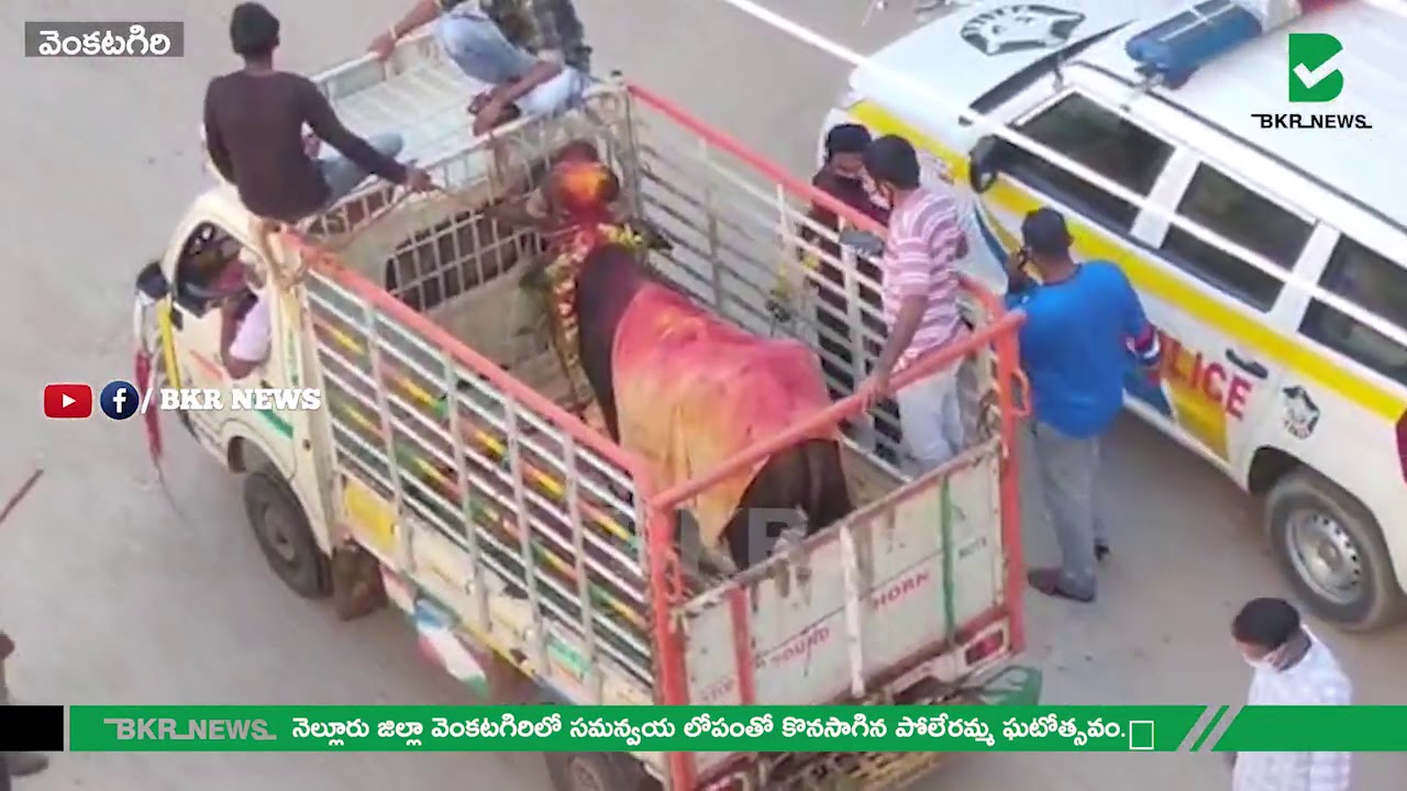 నెల్లూరు జిల్లా వెంకటగిరిలో సమన్వయ లోపంతో కొనసాగిన పోలేరమ్మ ఘటోత్సవం||Nellore||BKR NEWS