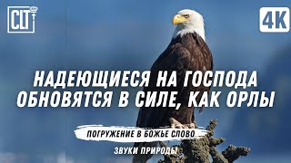 5 ЧАСОВ ИСЦЕЛЯЮЩЕГО СЛОВА | Включайте на весь экран и наполните свой дом красотой природы и Словом