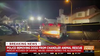 New details as allegedly neglected dogs taken from Chandler home