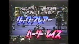 All Japan Classics: Flair vs Race (1982)