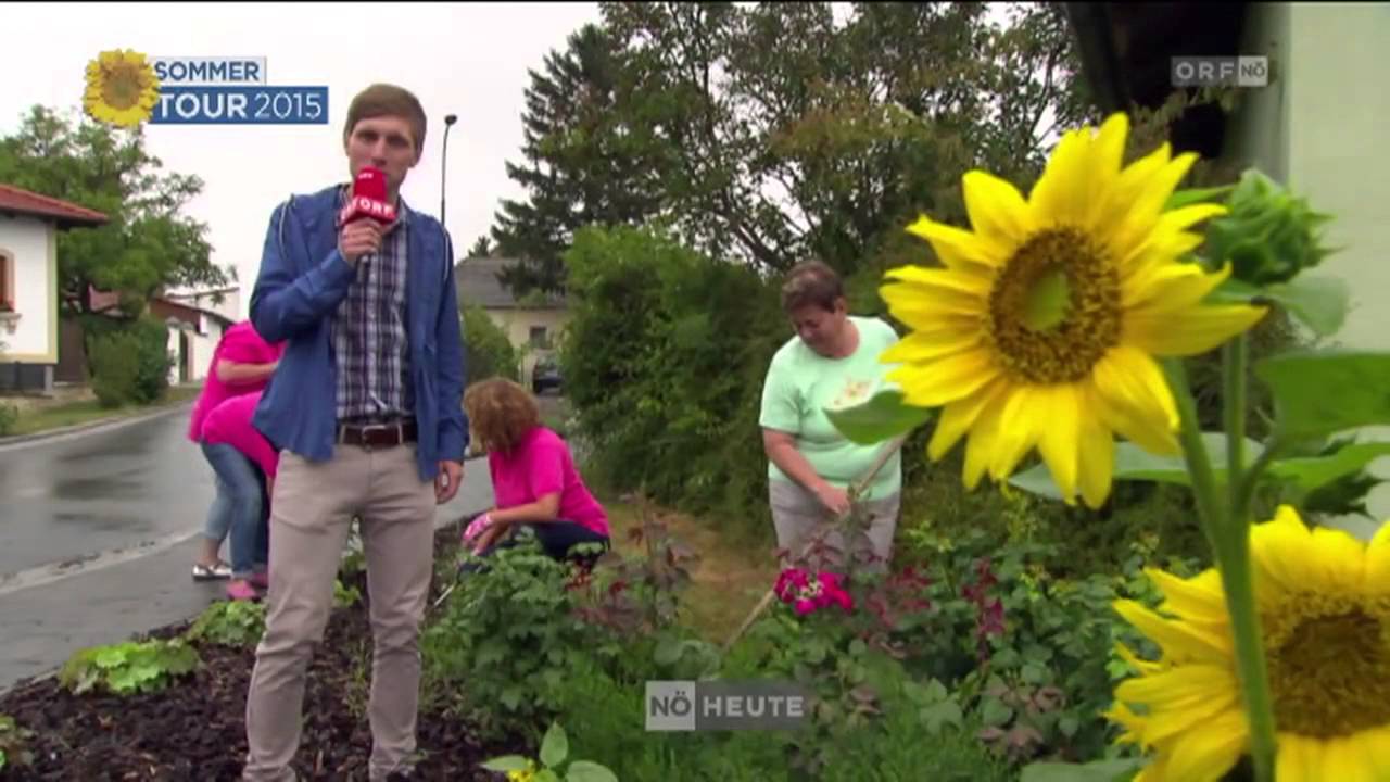 Höflein Sommertour 2015