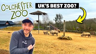 Why You SHOULD Visit Colchester Zoo screenshot 3