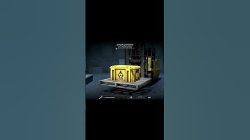 CS2 Day 11 of case opening