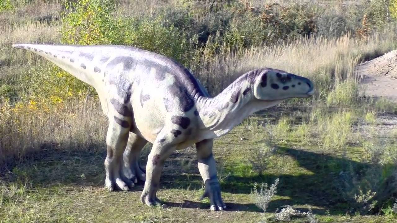 Dinos 2014 - YouTube