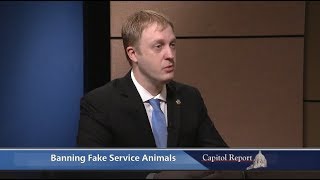 Banning Fake Service Animals