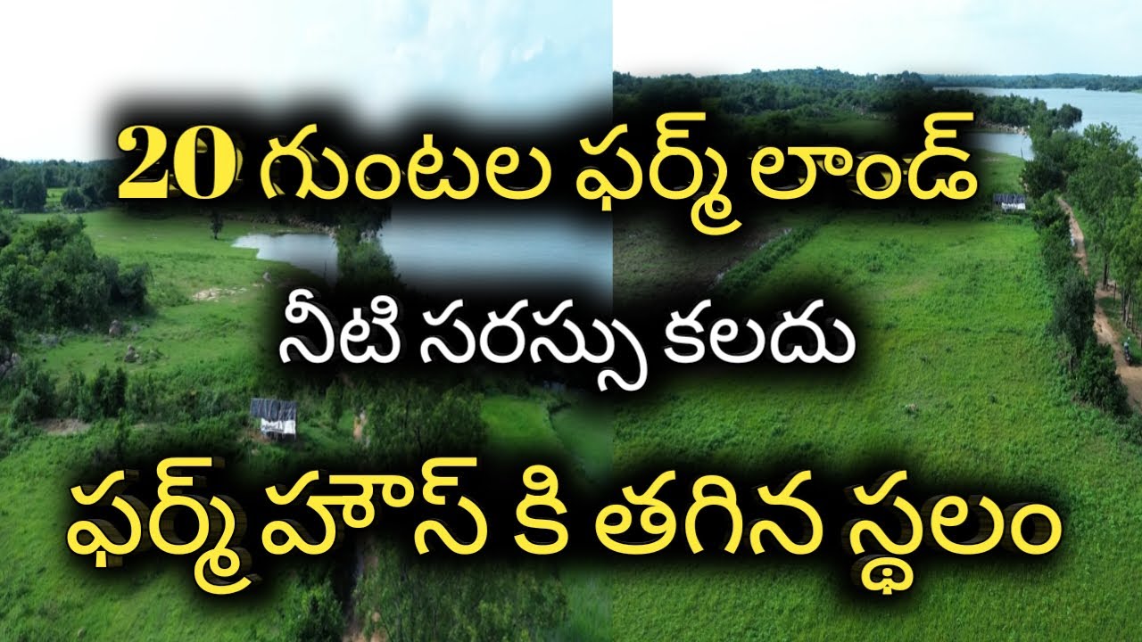 20 Guntas Lake View Farmland For Sale in Pargi, Agriculture Land at Low Price |Bhoomi Infrastructure