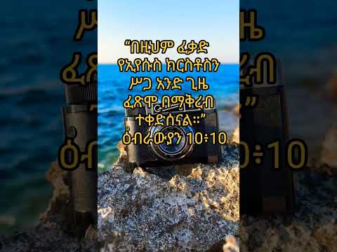 አንድ ጊዜ Viralvideo Foryou Music Love Shortsvideo Habesha Abelbirhanuየወይኗ Covermusic Chistian