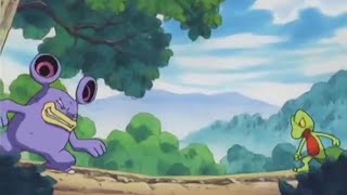 Treecko And Loudred Both Evolves During Their Fight Pokemon Advance Challenge