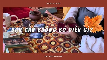 Bạn cần buông bỏ điều gì ở hành trình hiện tại? - Chi de Papillon 🕊️🪬📿