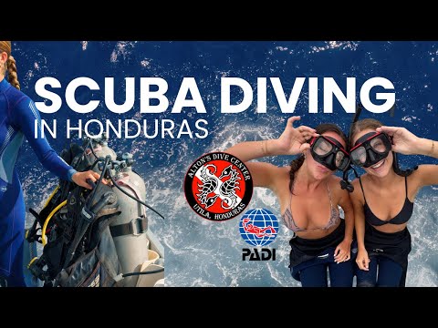 How Much It Costs to Get Scuba Certified in Honduras | My Dive School Experience thumbnail