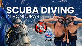 How Much It Costs to Get Scuba Certified in Honduras | My Dive School Experience