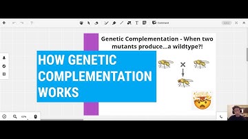 How two mutant parents produce normal offspring - Complementation Testing / Genetic Complementation