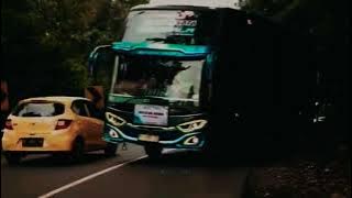 Story wa bus 'Kupu-kupu ayu' versi lagu koplo